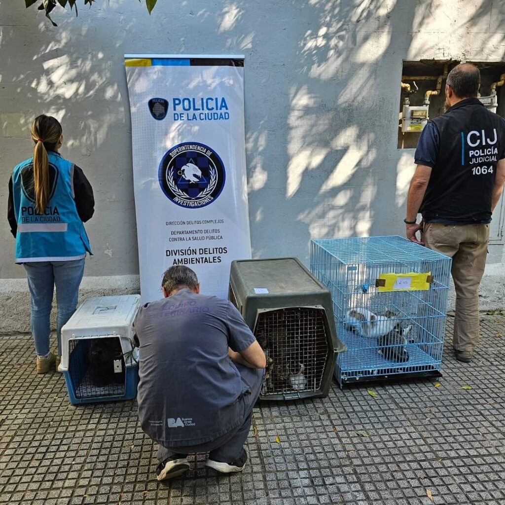 Instagram del Ministerio Público Fiscal (MPF)